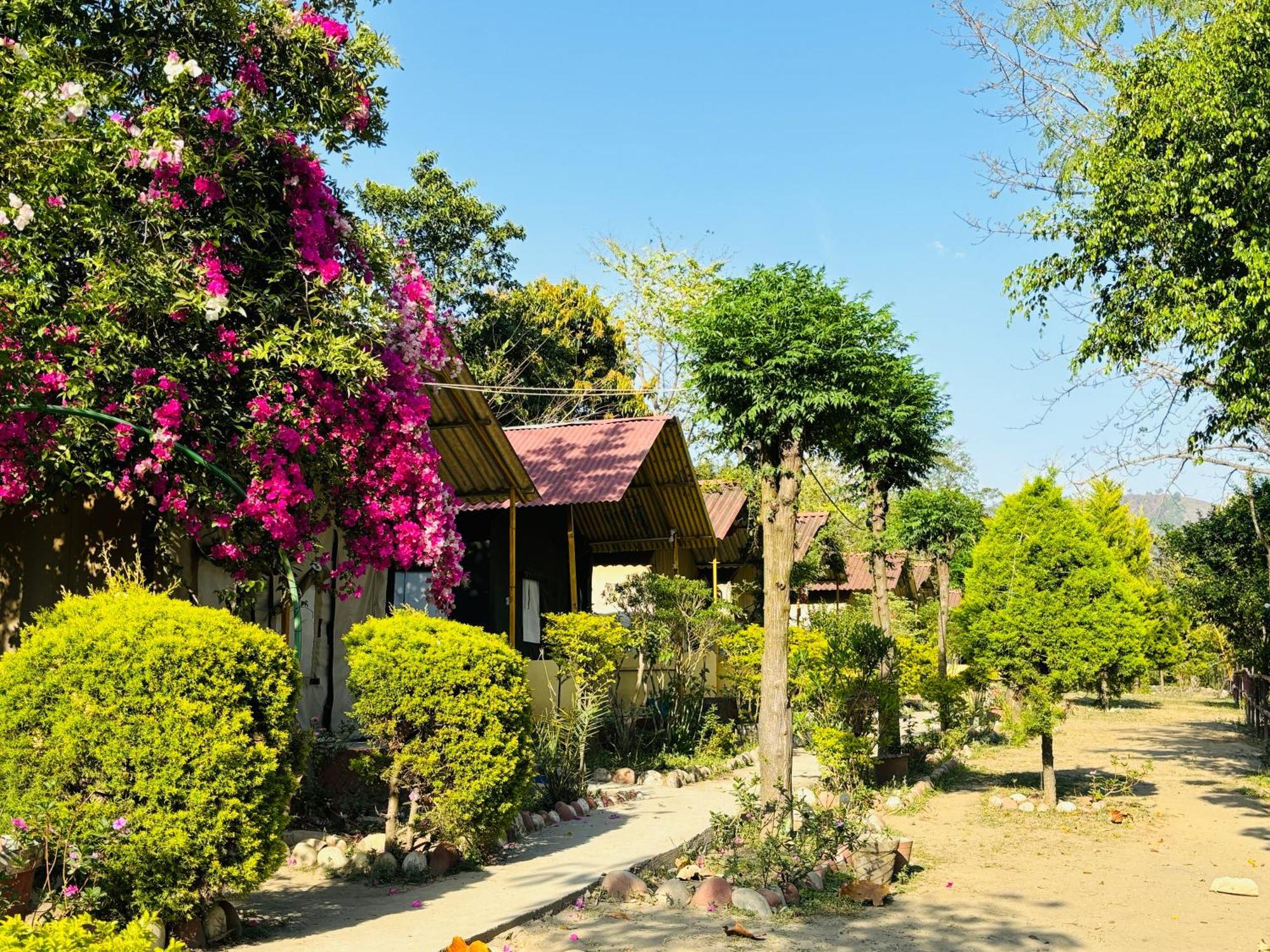 Hotel Camp High 5 Jayalgarh Dāngchura Exterior foto